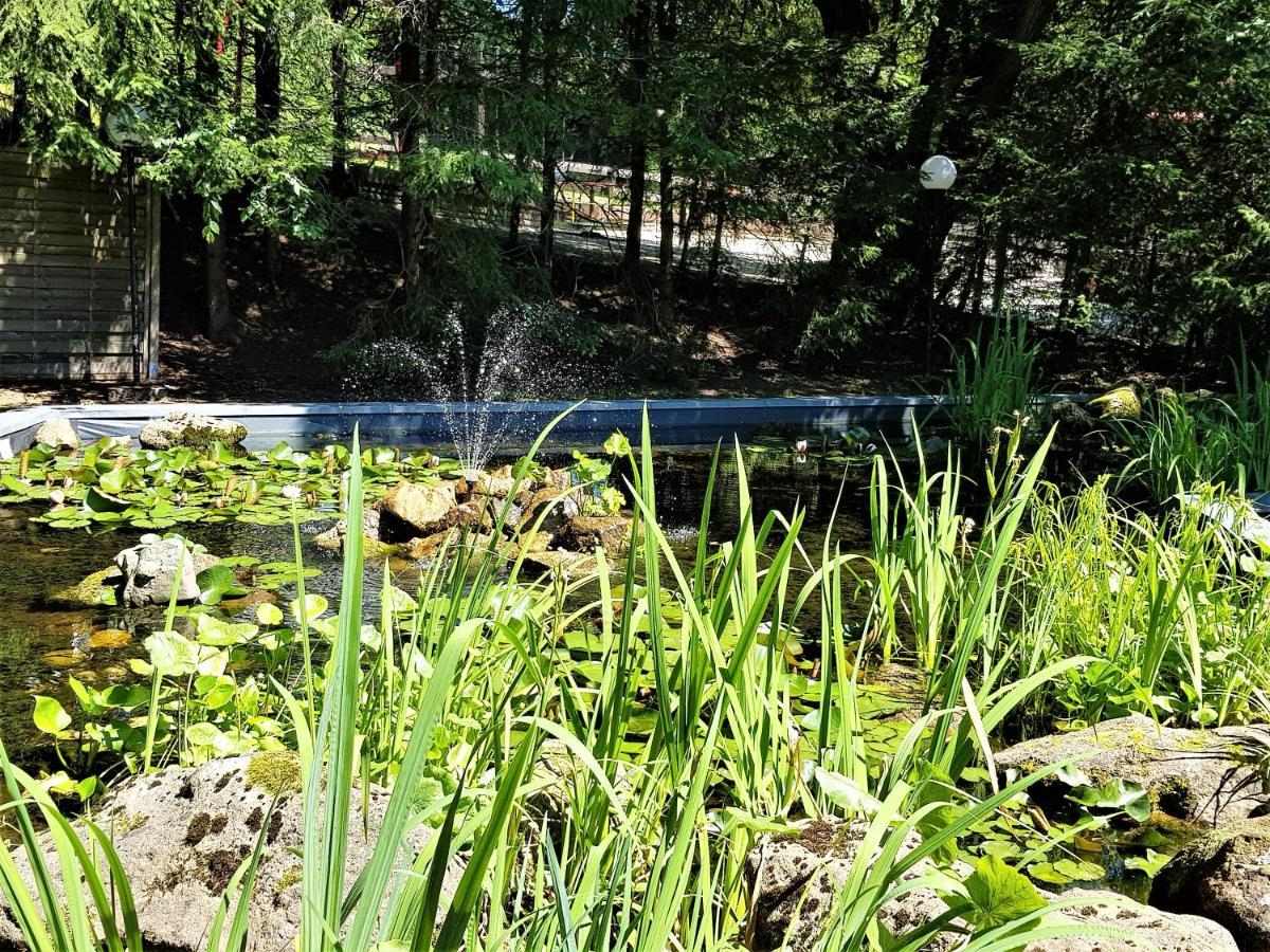 Grossdorf Ferienwohnung Waldsuite Im Harz Goslar Exterior foto